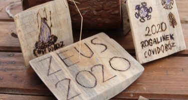 119681720_2382591618552658_4127429779797532590_n